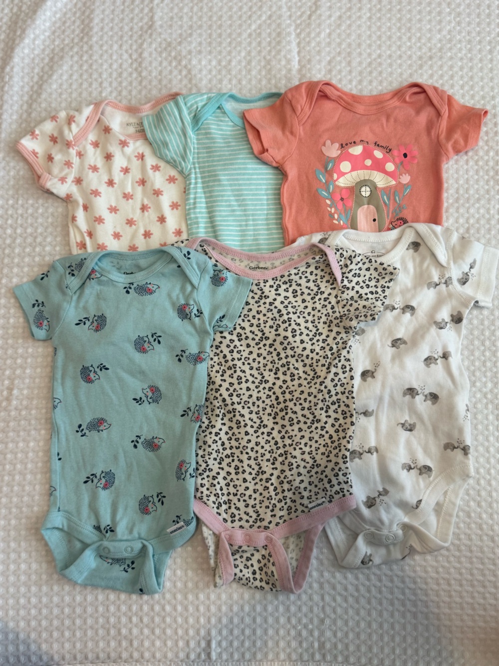 Bundle of 6 3-6m Short Sleeve Bodysuits